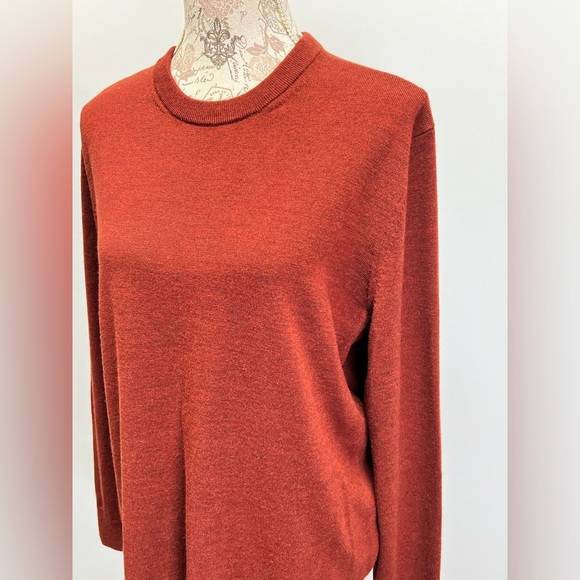 BANANA REPUBLIC Rust 💯 Merino wool crew neck sweater size L - Picture 2 of 13